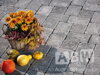 ABW Antico 14x14 cm zámková dlažba